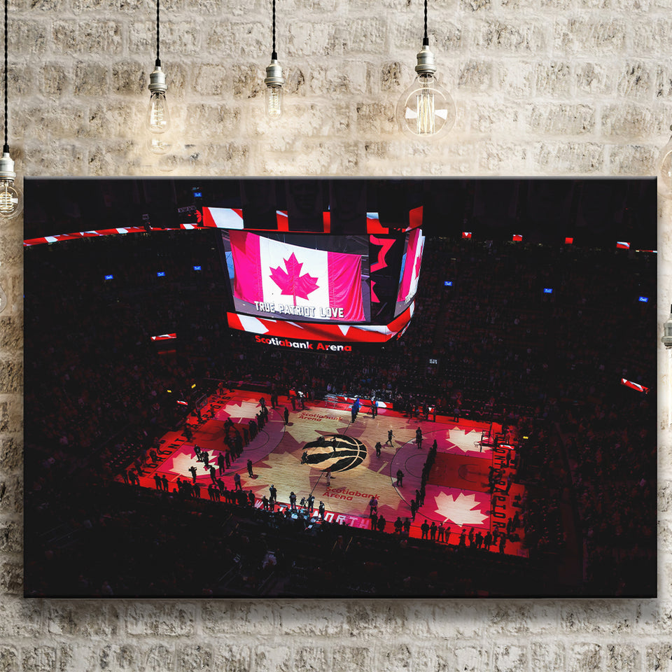 Raptors in Canada, Stadium Canvas, Sport Art, Gift for him, Fan Gift, Canvas Prints Wall Art Decor