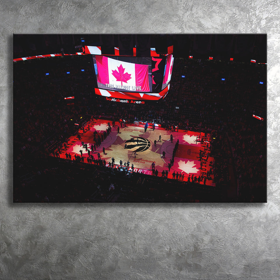 Raptors in Canada, Stadium Canvas, Sport Art, Gift for him, Fan Gift, Canvas Prints Wall Art Decor