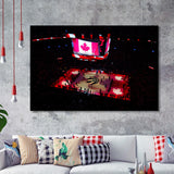 Raptors in Canada, Stadium Canvas, Sport Art, Gift for him, Framed Art Prints Wall Art Decor, Framed Picture