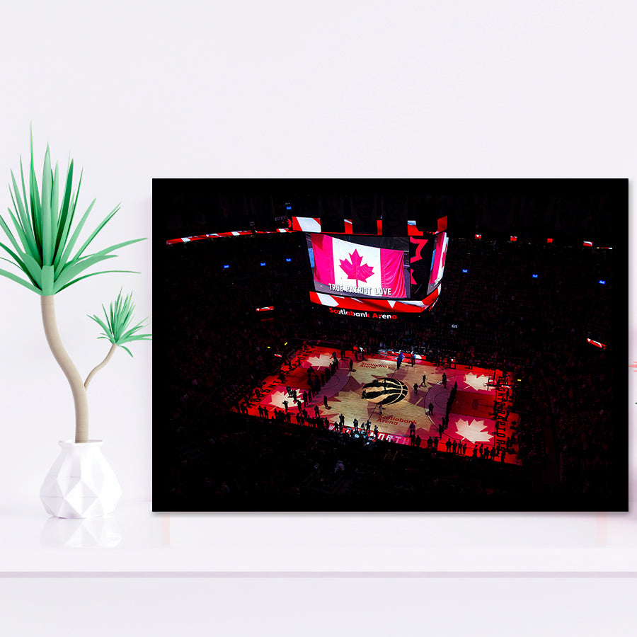 Raptors in Canada, Stadium Canvas, Sport Art, Gift for him, Framed Art Prints Wall Art Decor, Framed Picture
