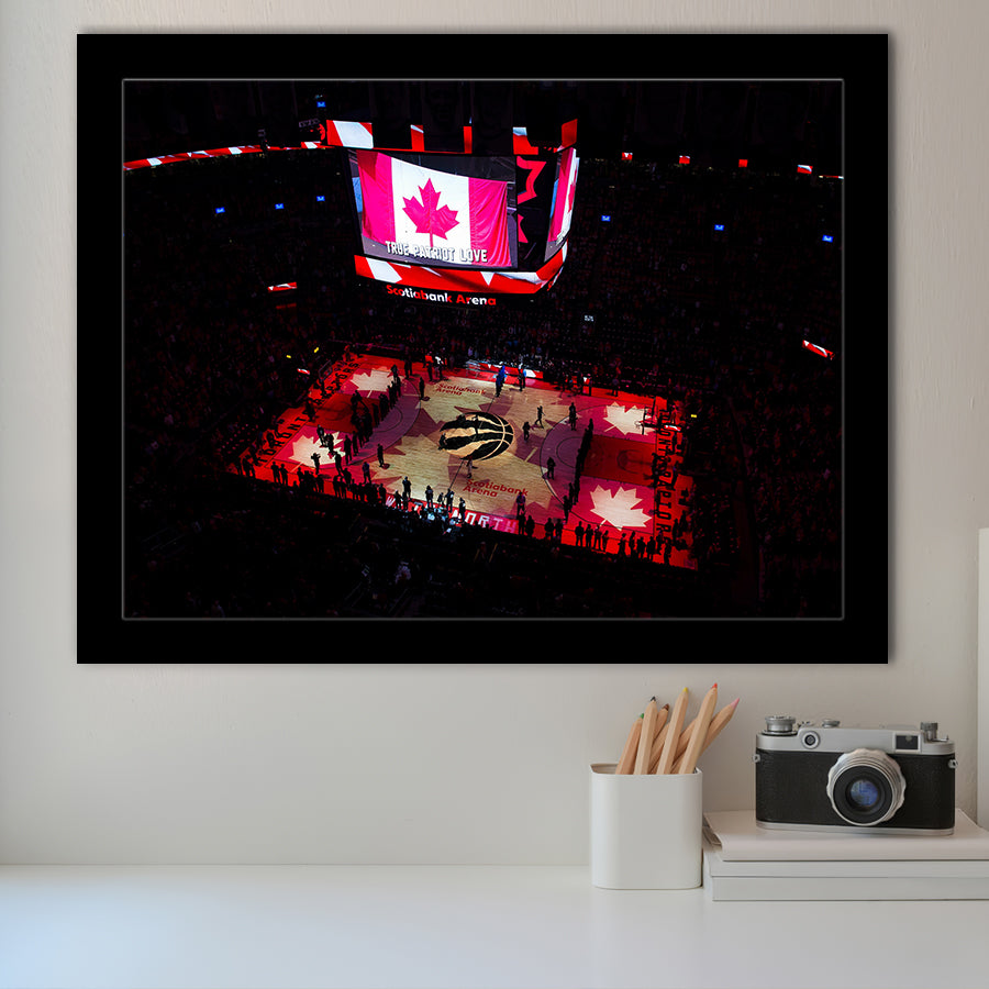 Raptors in Canada, Stadium Canvas, Sport Art, Gift for him, Framed Art Prints Wall Art Decor, Framed Picture