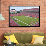 Raymond James Stadium Art Prints Tampa Bay Buccaneers Wall,Sport Stadium Art Prints, Fan Gift, Wall Decor