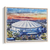 Rays Baseball Stadium Tropicana Field Watercolor, Sport Art Prints Fan Gift, Framed Canvas Prints Wall Art Decor