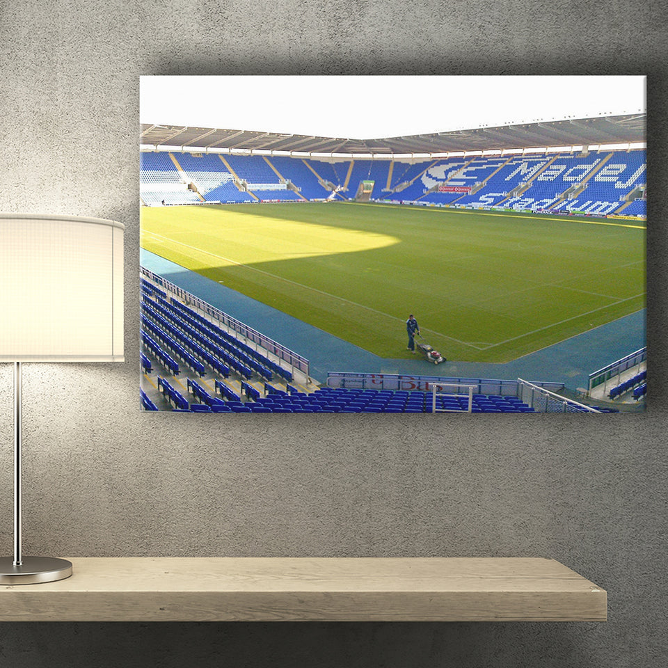 Reading Wall Art Madejski Stadium Canvas Prints Football Stadium,Sport Stadium Art Prints, Fan Gift, Wall Decor