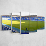 Reading Wall Art Madejski Stadium Canvas Prints Football Stadium,Multi Panels,Sport Stadium Art Prints, Fan Gift