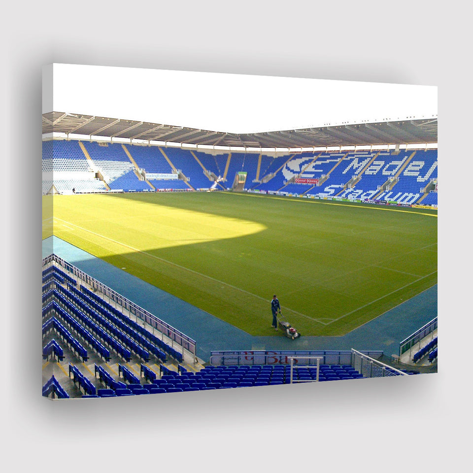 Reading Wall Art Madejski Stadium Canvas Prints Football Stadium,Sport Stadium Art Prints, Fan Gift, Wall Decor