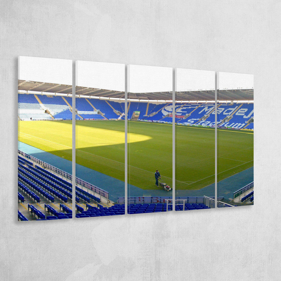Reading Wall Art Madejski Stadium Canvas Prints Football Stadium,Multi Panels B,Sport Stadium Art Prints, Fan Gift