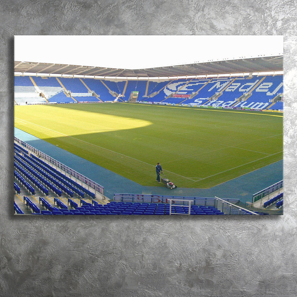 Reading Wall Art Madejski Stadium Canvas Prints Football Stadium,Sport Stadium Art Prints, Fan Gift, Wall Decor