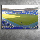 Reading Wall Art Madejski Stadium Canvas Prints Football Stadium,Sport Stadium Art Prints, Fan Gift, Wall Decor