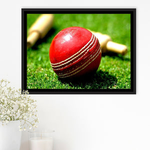 Red Ball, Stadium Canvas, Sport Art, Gift for him, Framed Canvas Prints Wall Art Decor, Framed Picture