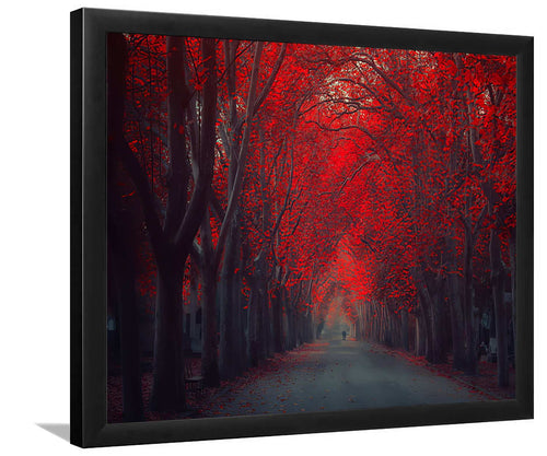 Red Forest Trees In Autumn-Forest art, Art print, Plexiglass Cover
