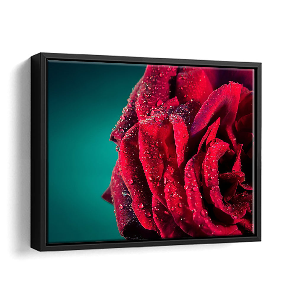 Red Rose With Drops Framed Canvas Wall Art - Framed Prints, Canvas Prints, Prints for Sale, Canvas Painting