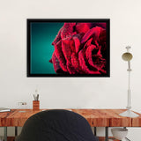 Red Rose With Drops Framed Canvas Wall Art - Framed Prints, Canvas Prints, Prints for Sale, Canvas Painting