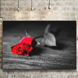 Red Rose Canvas Prints Wall Art Decor - Painting Canvas,Home Decor, Ready to Hang