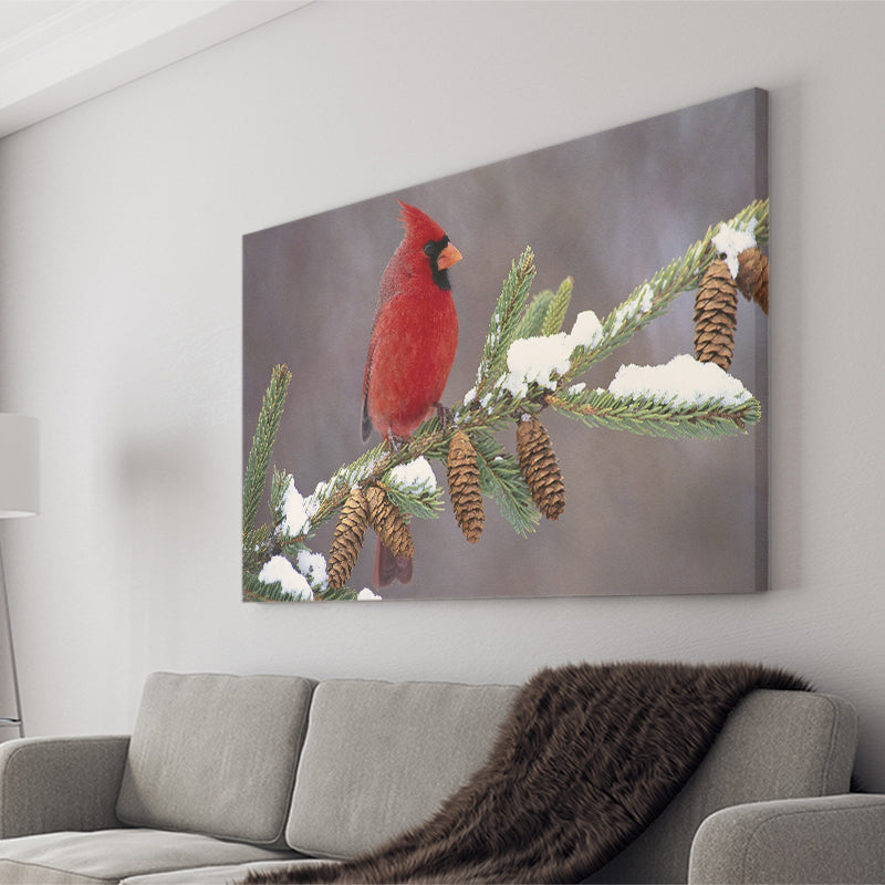 Red Cardinal Bird On A Pine Tree Canvas Prints Wall Art - Painting Canvas, Home Wall Decor, Painting Prints, For Sale