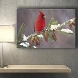 Red Cardinal Bird On A Pine Tree Canvas Prints Wall Art - Painting Canvas, Home Wall Decor, Painting Prints, For Sale