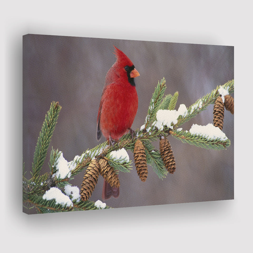 Red Cardinal Bird On A Pine Tree Canvas Prints Wall Art - Painting Canvas, Home Wall Decor, Painting Prints, For Sale
