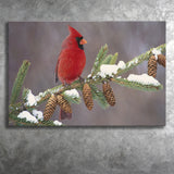 Red Cardinal Bird On A Pine Tree Canvas Prints Wall Art - Painting Canvas, Home Wall Decor, Painting Prints, For Sale