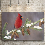 Red Cardinal Bird On A Pine Tree Canvas Prints Wall Art - Painting Canvas, Home Wall Decor, Painting Prints, For Sale