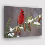 Red Cardinal Bird On A Pine Tree Canvas Prints Wall Art - Painting Canvas, Home Wall Decor, Painting Prints, For Sale