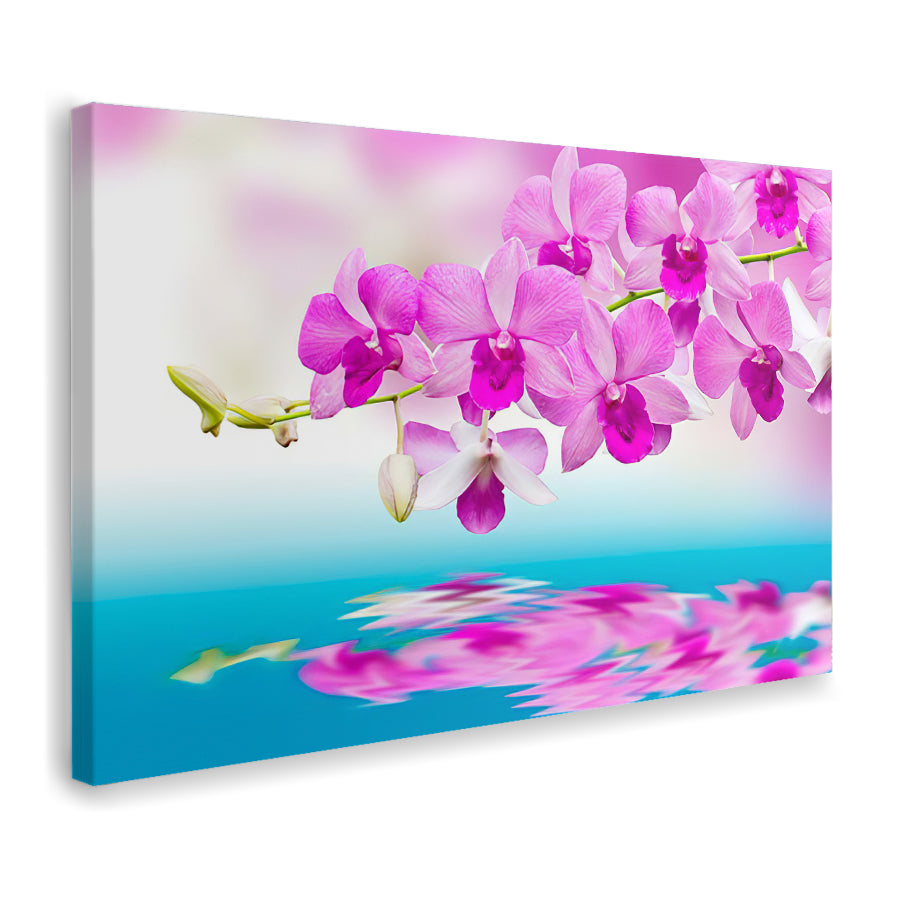 Reflection Orchids Canvas Wall Art - Canvas Prints, Prints for Sale, Canvas Painting, Canvas On Sale