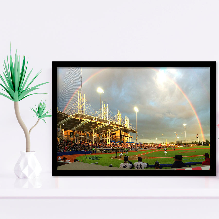 Ron Tonkin Field, Stadium Canvas, Sport Art, Gift for him, Framed Art Prints Wall Art Decor, Framed Picture