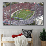 Rose Bowl Aerial View, Stadium Canvas, Sport Art, Gift for him, Multi Panels B, Canvas Prints Wall Art Decor
