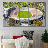 Rose Bowl Stadium Canvas Prints California Wall Art American,Multi Panels B,Sport Stadium Art Prints, Fan Gift