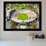 Rose Bowl, Stadium Canvas, Sport Art, Gift for him, Framed Art Prints Wall Art Decor, Framed Picture