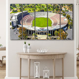 Rose Bowl, Stadium Canvas, Sport Art, Gift for him, Multi Panels B, Canvas Prints Wall Art Decor