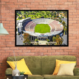 Rose Bowl, Stadium Canvas, Sport Art, Gift for him, Framed Art Prints Wall Art Decor, Framed Picture