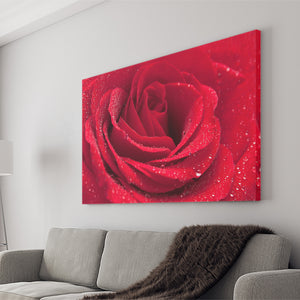 Rose  Canvas Wall Art - Canvas Prints, Prints For Sale, Painting Canvas,Canvas On Sale 