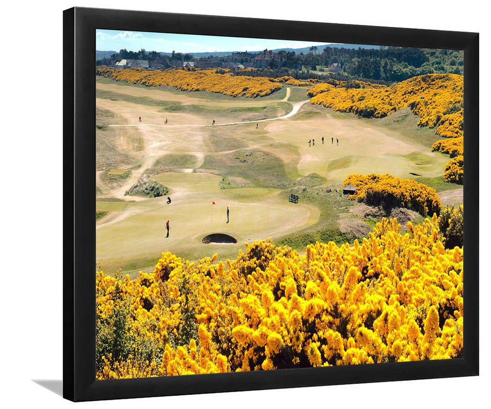 Royal Dornoch Golf Club (Dornoch, Sutherland, Scotland)-Sport Art, Art Print, Frame Art,Plexiglass Cover