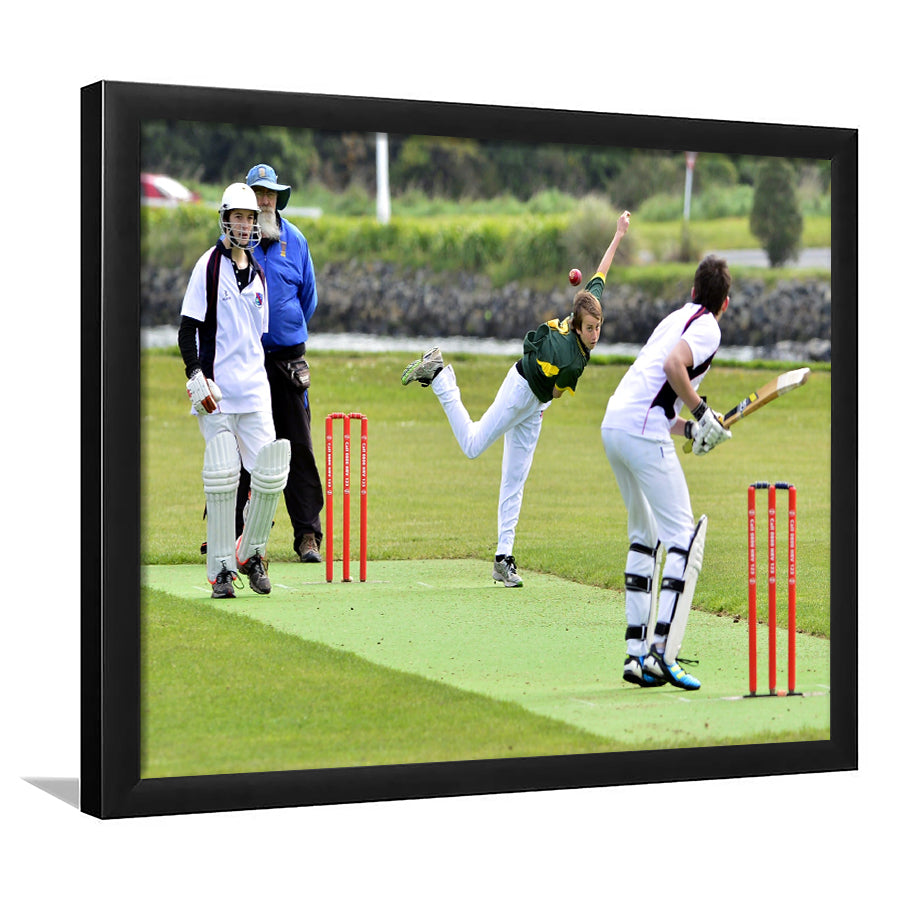 School Runs Cricket, Stadium Canvas, Sport Art, Gift for him, Framed Art Prints Wall Art Decor, Framed Picture
