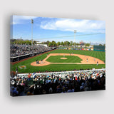 Scottsdale Stadium, Stadium Canvas, Sport Art, Gift for him, Fan Gift, Canvas Prints Wall Art Decor