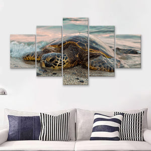 Sea Turtle On The Beach  5 Pieces Canvas Prints Wall Art - Painting Canvas, Multi Panels, 5 Panel, Wall Decor