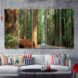 Sequoia National Park At Night 5 Pieces B Canvas Prints Wall Art - Painting Canvas, Multi Panels,5 Panel, Wall Decor