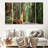 Sequoia National Park At Night 5 Pieces B Canvas Prints Wall Art - Painting Canvas, Multi Panels,5 Panel, Wall Decor