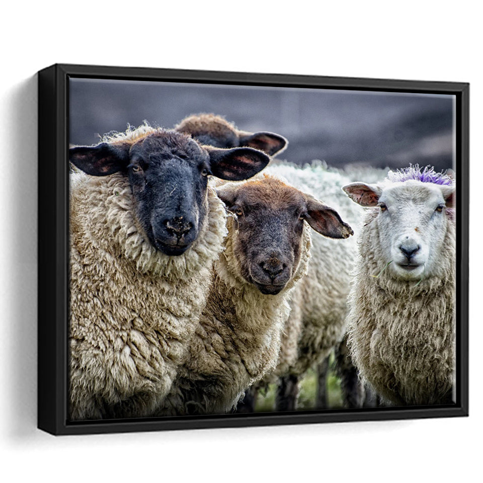 Sheep Domestic Animal Framed Canvas Prints Wall Art - Painting Canvas, Wall Decor, Canvas Art, Floating Frame