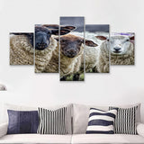 Sheep Domestic Animal 5 Pieces Canvas Prints Wall Art - Painting Canvas, Multi Panel, Wall Decor, Canvas Art