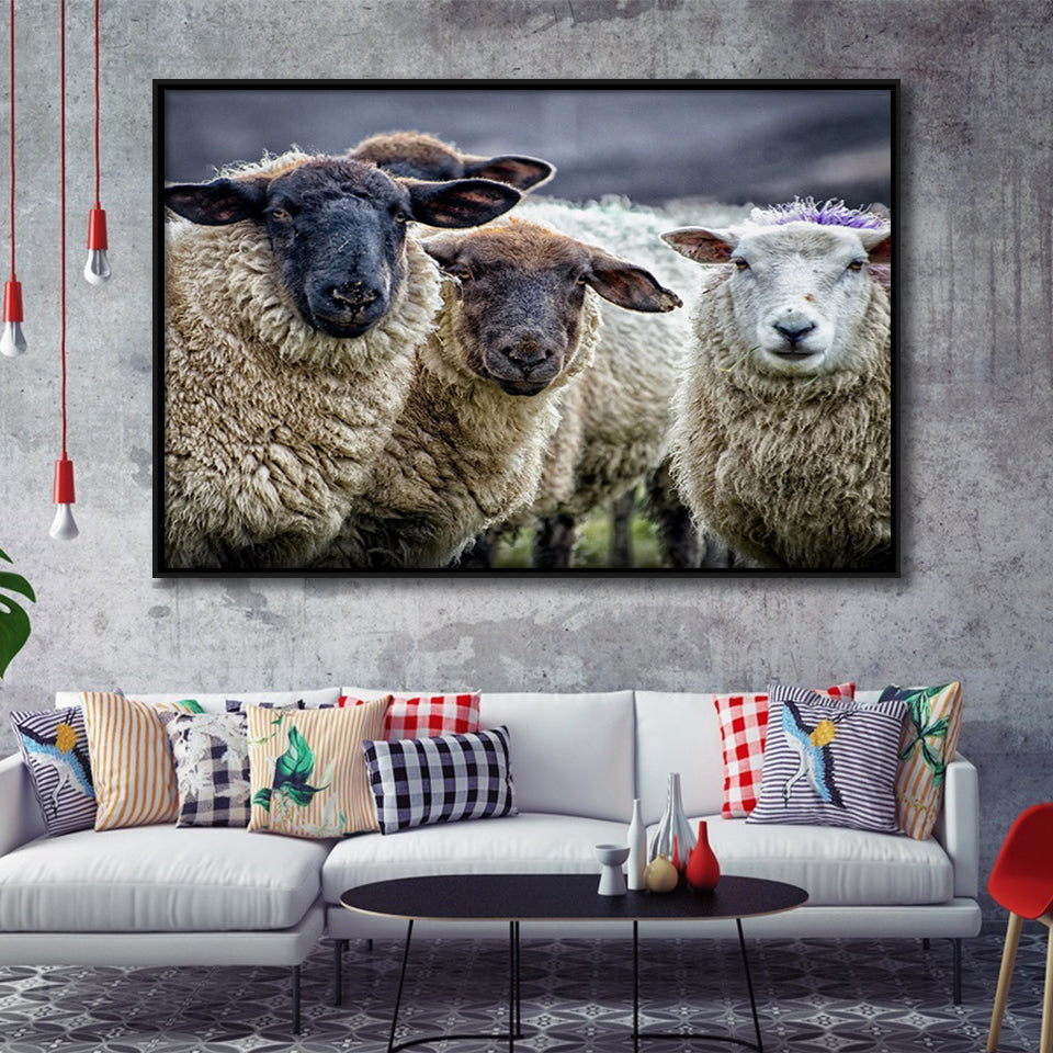 Sheep Domestic Animal Framed Canvas Prints Wall Art - Painting Canvas, Wall Decor, Canvas Art, Floating Frame
