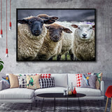 Sheep Domestic Animal Framed Canvas Prints Wall Art - Painting Canvas, Wall Decor, Canvas Art, Floating Frame