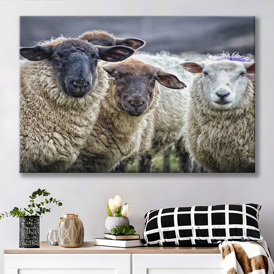 Sheep Domestic Animal Canvas Prints Wall Art - Painting Canvas, Wall Decor, Canvas Art, For Sale