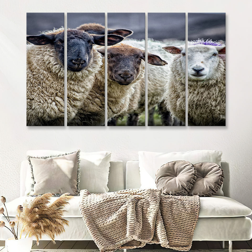 Sheep Domestic Animal 5 Pieces B Canvas Prints Wall Art - Painting Canvas, Multi Panel, Wall Decor, Canvas Art
