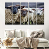 Sheep Domestic Animal 5 Pieces B Canvas Prints Wall Art - Painting Canvas, Multi Panel, Wall Decor, Canvas Art