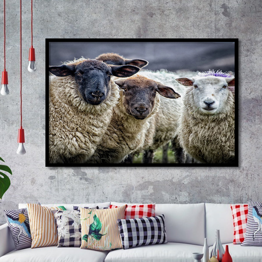 Sheep Domestic Animal Framed Art Prints Wall Decor - Painting Prints, Wall Art, Framed Picture, Black Frame
