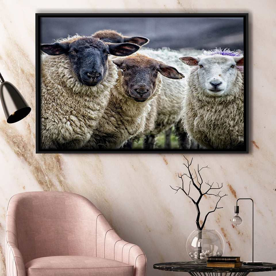 Sheep Domestic Animal Framed Canvas Prints Wall Art - Painting Canvas, Wall Decor, Canvas Art, Floating Frame