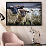 Sheep Domestic Animal Framed Canvas Prints Wall Art - Painting Canvas, Wall Decor, Canvas Art, Floating Frame