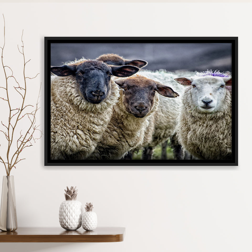 Sheep Domestic Animal Framed Canvas Prints Wall Art - Painting Canvas, Wall Decor, Canvas Art, Floating Frame