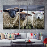 Sheep Domestic Animal 5 Pieces B Canvas Prints Wall Art - Painting Canvas, Multi Panel, Wall Decor, Canvas Art